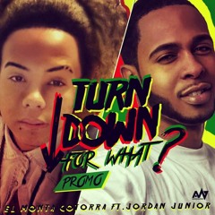 El Monta Cotorra Ft. Jordan Jr. - Turn down for what (SPANISH Remix)