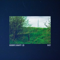 Goodbye Gravity - Dust