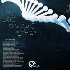 Prime - D.N.A.