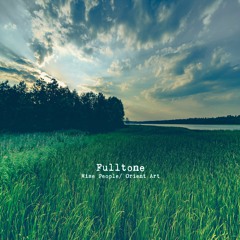 Fulltone - Wyrm Feast (Original Mix)