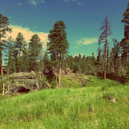 Somewhere