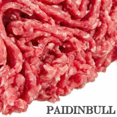 PAIDINBULL (THA GOD FAHIM  x  Leaf Dog)