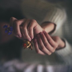 花间事 Hoa Gian Sự