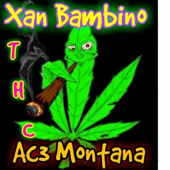 Ac3 Montana x Xan Bambino - THC