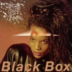 Fall Into My Love - Black Box (Cover)