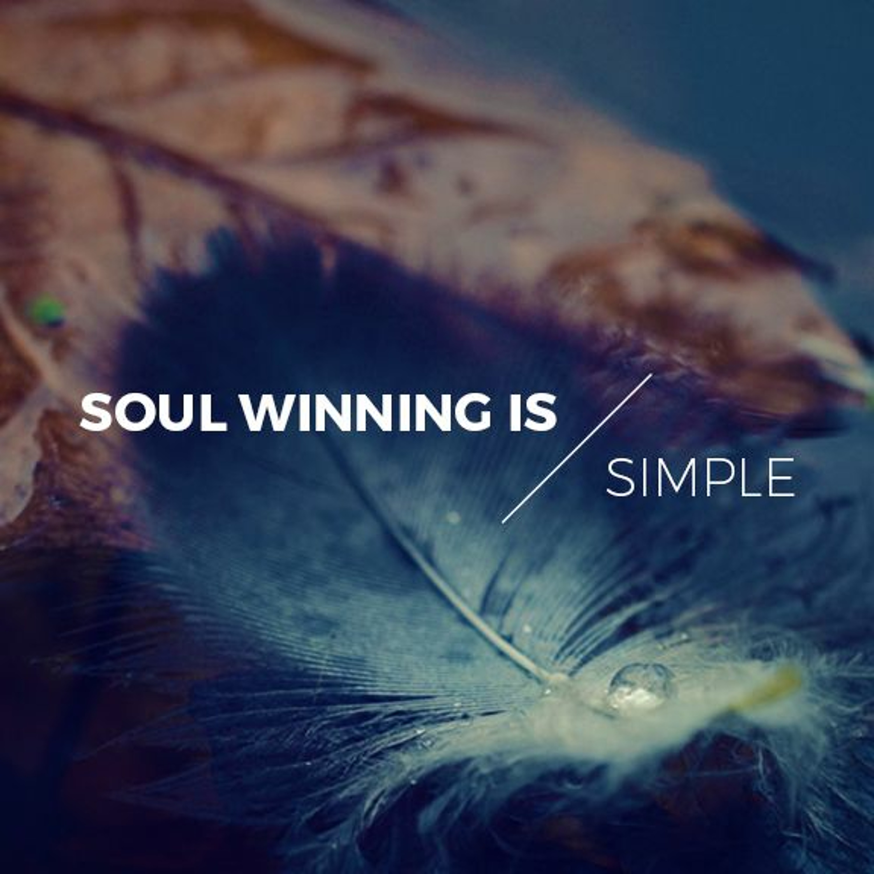 Soul Winning Is Simple | Matthew 28: 18-20 | Brendon | Sunday 7th May 2017 episode artwork