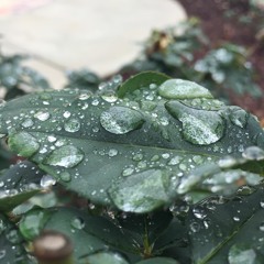 I Can't Make You Love Me - Bon Iver (cover)