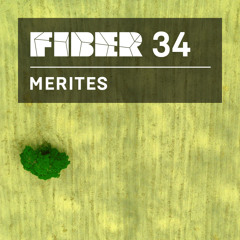 FIBER Podcast 34 - Merites