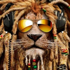 Stephen Marley - Scars On My Feet (DJ Monkey Bootleg)