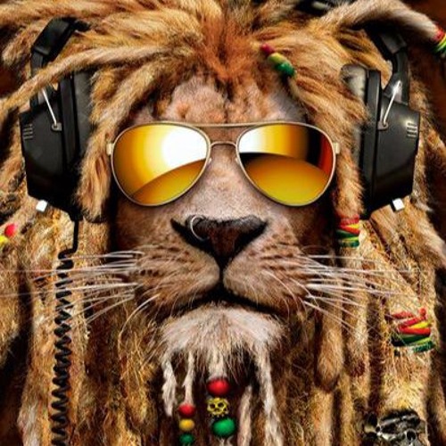Stephen Marley - Scars On My Feet (DJ Monkey Bootleg)