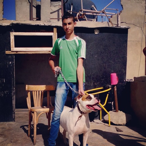 اسكندريه دوله🔗🔗