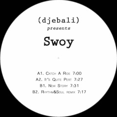 Swoy - It’s Quite Pert (Original Mix)