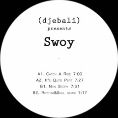 Swoy - It’s Quite Pert (Original Mix)