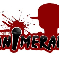 AnimeRap - One Piece Rap Shichibukai Rap 2014