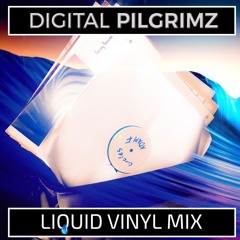 Digital Pilgrimz - Liquid Drum and Bass Mix