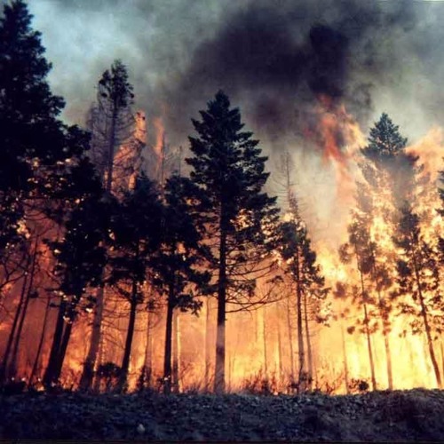 FRDM SAMPLE CHALLENGE