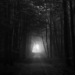 IN2Deep - Forest PsyTrance Set 149-152 B.P.M