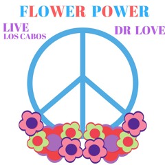 Flower Power Live Cabo 2017