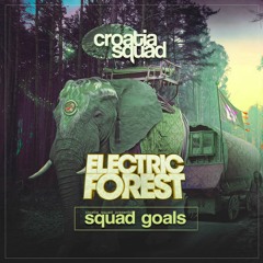 Croatia Squad - Squad Goals 006 - DJ Mix (Electric Forest Stage)