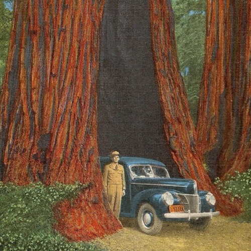 Around The Bottleneck