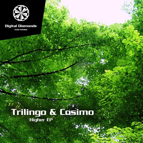 Trilingo - Mateo [DigitalDiamonds033] | WAV download