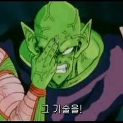 BIRTHDAYPICCOLO