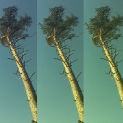 Memory Effect