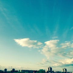 CURLY MUSIC Sunday (2017 05 07)