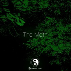 The Moth Inst Demo
