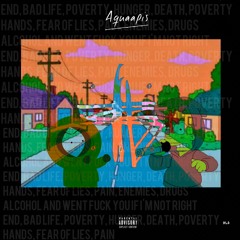 AQUAKILLA - TIGUAN