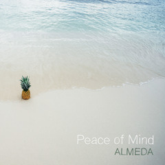 Peace of Mind (feat. Yon Cové)