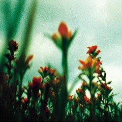 The Man Who Sold The World