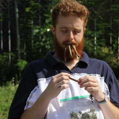 Zzz x Mentiras - Watch It