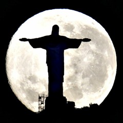 Moon Bird