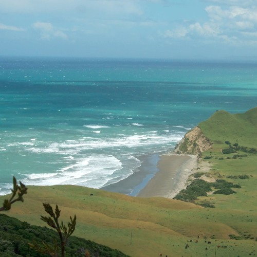 N Hill 2000s LOOP Mix