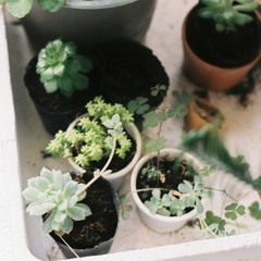 waking up to the raindrops