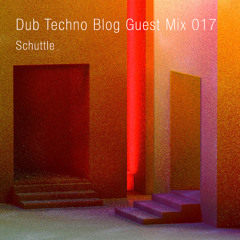 Dub Techno Blog Guest Mix 019 - Schuttle