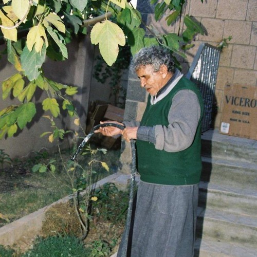 أُغنيّة من خشب