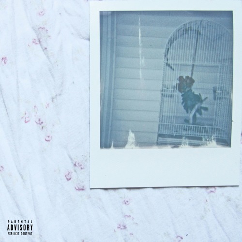 Bivienni - mywristsarewarm artwork