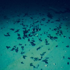002 BLUE SEA CHANGE