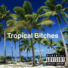 Tropical Bitches (prod. SammyT)