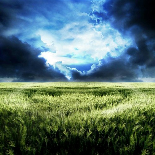 Fields of Green (short)