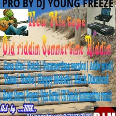 SUMMERTIME RIDDIM Mix By Dj Young Freeze
