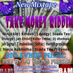 TAKE MONEY RIDDIM Mix By Dj Young Freeze