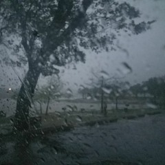 The sound of rain