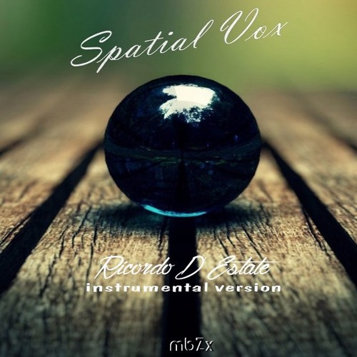 Spatial Vox - Ricordo D'Estate (Instrumental Version)