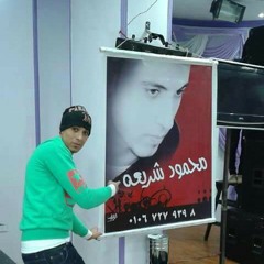 النجم تامر النزهي وحياتي عندك والخراب من مليونية النجم محمود شريعه 💯
