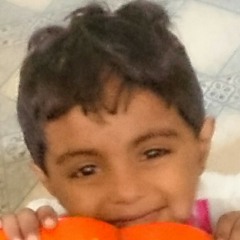 Hoya piyar piyar