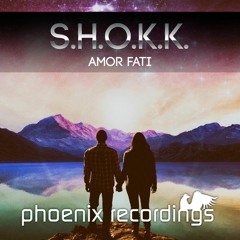 S.H.O.K.K - Amor Fati (K90 Remix) [Phoenix Recordings]