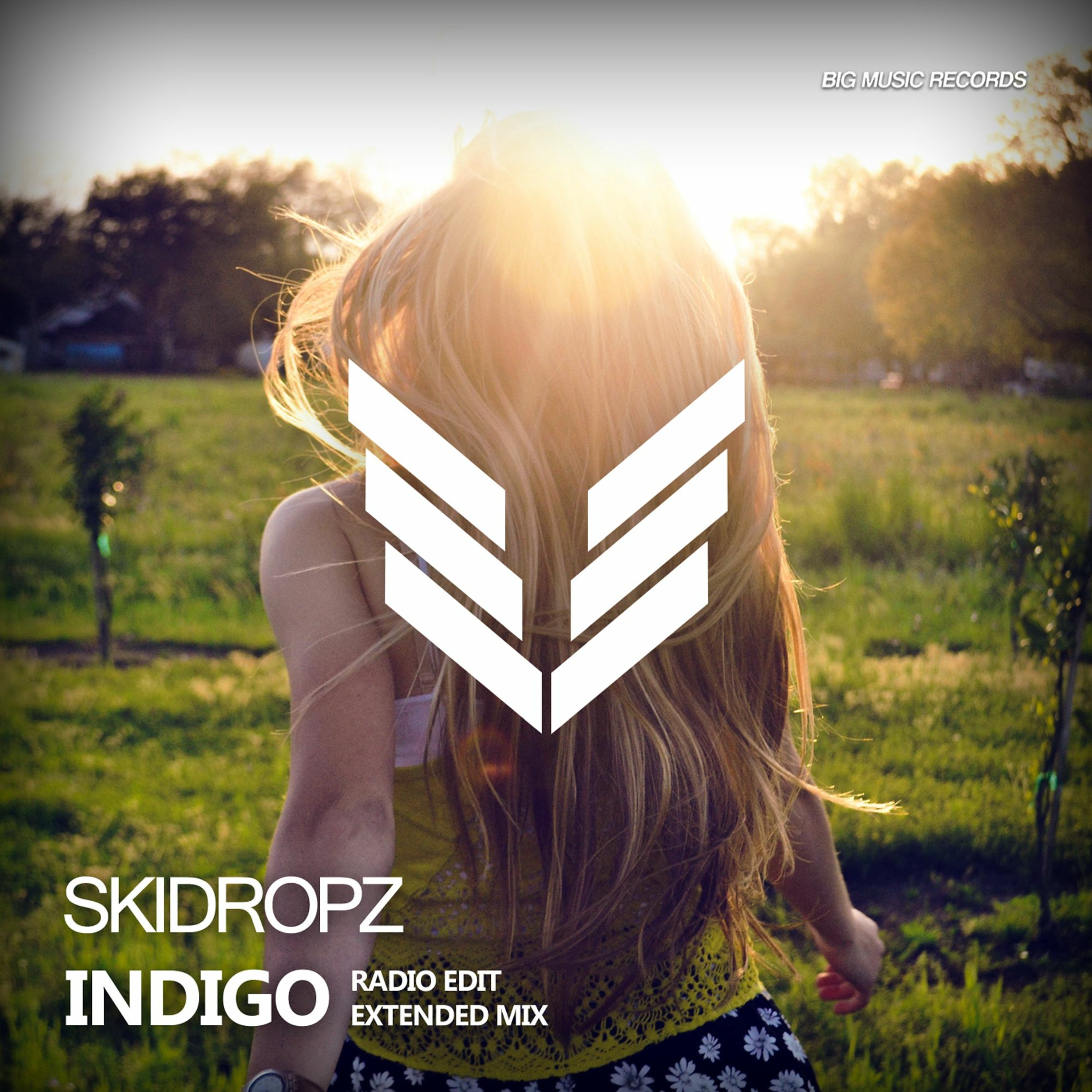 SkiDropz